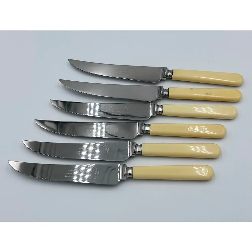 Vintage Philip Ashberry & Sons Sheffield England Celluloid 6pc Dinner Knife Set